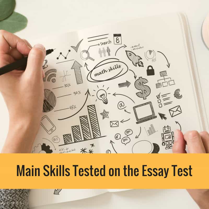 sat essay test